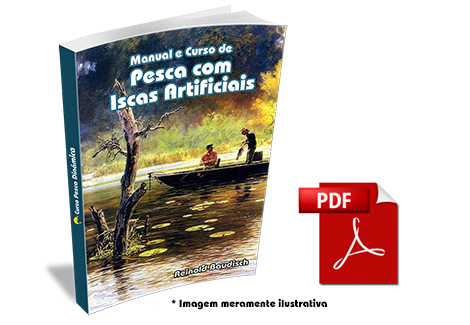 Livro em PDF