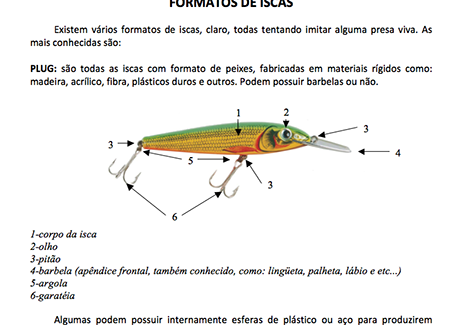 Foto com Dicas